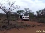 "african safari groupsex orgy in nature"