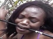 African whore public disgrace hardcore fucking outdoors