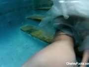 "Underwater tease with stacked brunette Charley Chase"